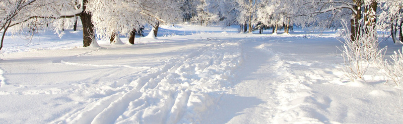 冬季雪景背景jpg设计背景_88icon https://88icon.com 冬季 雪景 白雪 寒冷 海报banner 摄影 风景
