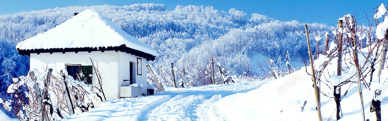 下雪banner背景