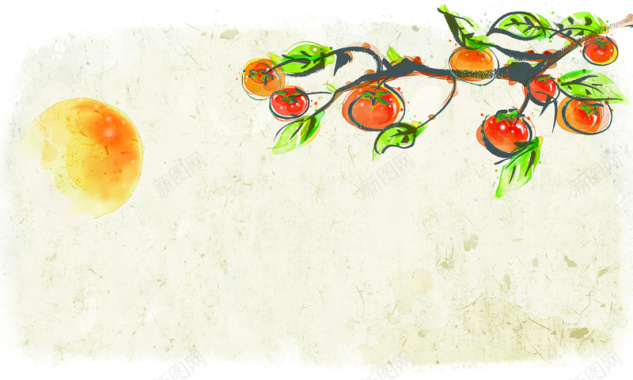 手绘红色柿子背景背景