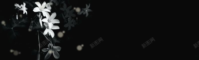 黑色唯美兰花背景bannerpsd设计背景_88icon https://88icon.com 黑色 唯美 兰花 背景 banner 海报banner 文艺 小清新 简约