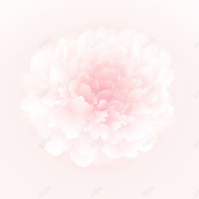 柔美花朵背景jpg设计背景_88icon https://88icon.com 柔美 花朵 清新 浪漫 梦幻 纹理 主图 质感