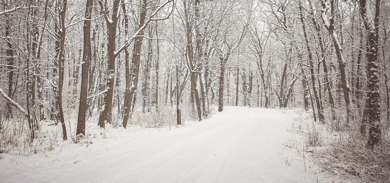 淘宝文艺雪景枯枝林背景背景