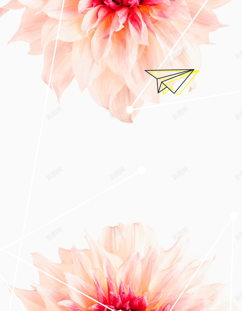 鲜花唯美背景psd设计背景_88icon https://88icon.com 促销背景 商务 温暖 红色 鲜花 白色 文艺 小清新 简约