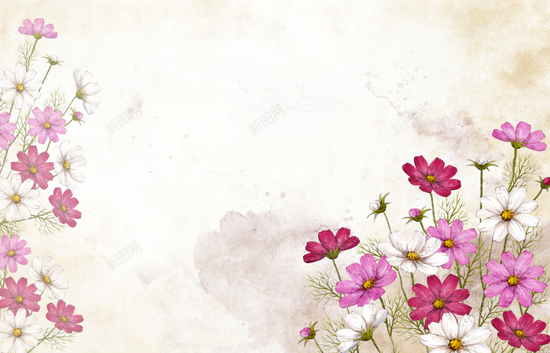 紫色手绘花朵背景psd设计背景_88icon https://88icon.com 手绘 紫色 花卉 菊花 韩国 清新 卡通 童趣