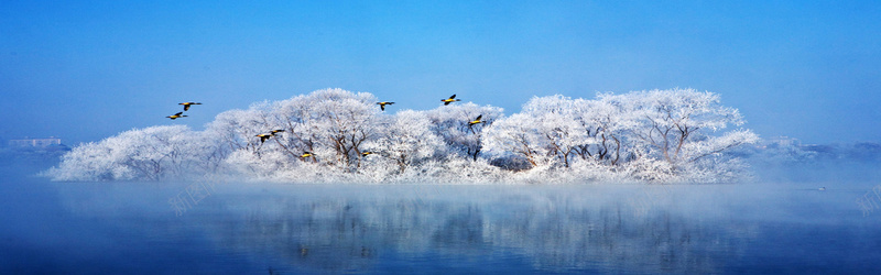 冬天湖水树木背景背景