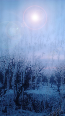 寒冬冬天你好蓝色树木背景背景