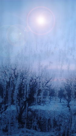冬天的小树林寒冬冬天你好蓝色树木背景高清图片