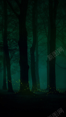 树林深夜H5背景背景