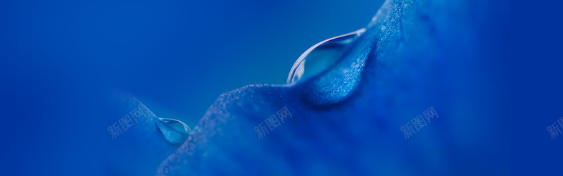 传统节日霜降二十四节气bannerpsd设计背景_88icon https://88icon.com 中国传统节气 二十四节气 24节气 霜降节气 中国风 霜降 秋季下霜 下霜 寒霜 霜 霜花 冬天