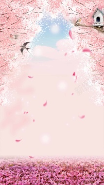 粉色樱花浪漫商业H5背景背景