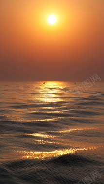 日出朝阳大海手机端H5背景背景