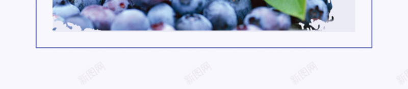 简约新鲜水果蓝莓果酱海报背景素材psd设计背景_88icon https://88icon.com 产品展示 新鲜水果 绿色水果 果园 果酱 美味自然 促销海报 蓝莓水果 蓝莓宣传单 广告海报背景 兴奋