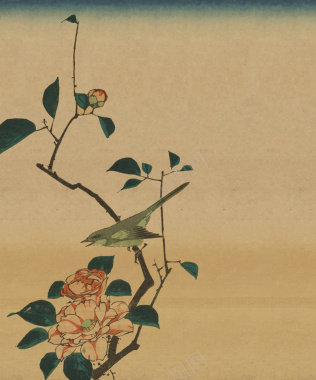 中国风花卉水墨画画册手绘背景素材背景
