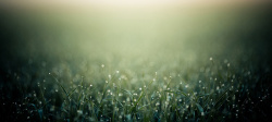 绿色虚化背景雨季背景高清图片