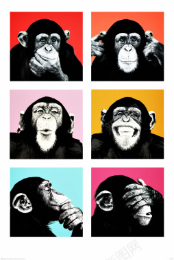 趣味猴子艺术节宣传海报背景背景
