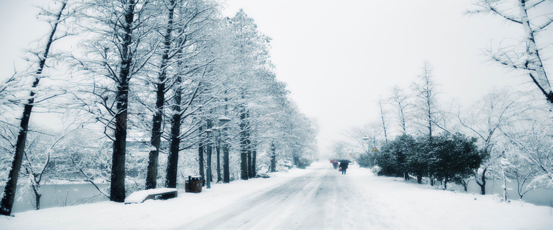 唯美冬天树干雪景海报背景图背景