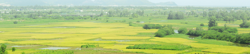 美丽生态乡村旅游郊游海报背景素材jpg设计背景_88icon https://88icon.com 农业农村部 农村体验 农村旅游 广告设计 开心 文化旅游 新农村 旅游节 海报背景 生态乡村 生态农业 美丽乡村 赏花