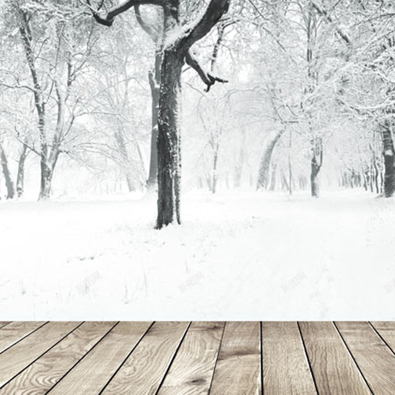 冬季树木地板背景图jpg设计背景_88icon https://88icon.com 冬季 树木 地板 雪地 主图