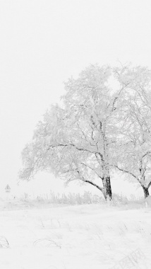 雪地里的树H5背景背景