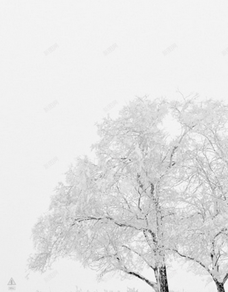 雪地里的树H5背景jpg设计背景_88icon https://88icon.com 冬天 忧伤 文艺 树 雪 小清新 简约