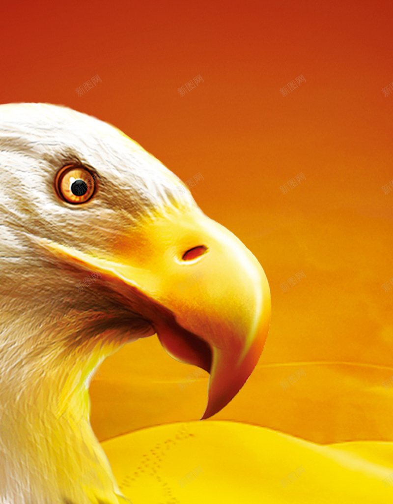 雄鹰H5背景jpg设计背景_88icon https://88icon.com 企业文化 天空 目标 眼光 雄鹰 H5背景 长远 彩色 H5 h5