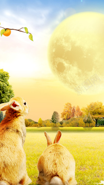 浪漫温馨阳光兔子背景背景