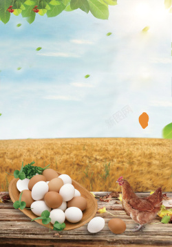 土特产海报农家土特产土鸡蛋广告海报背景素材高清图片