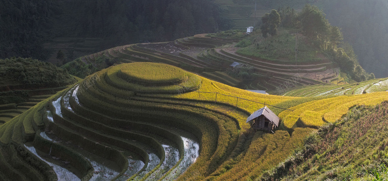 梯田背景图背景