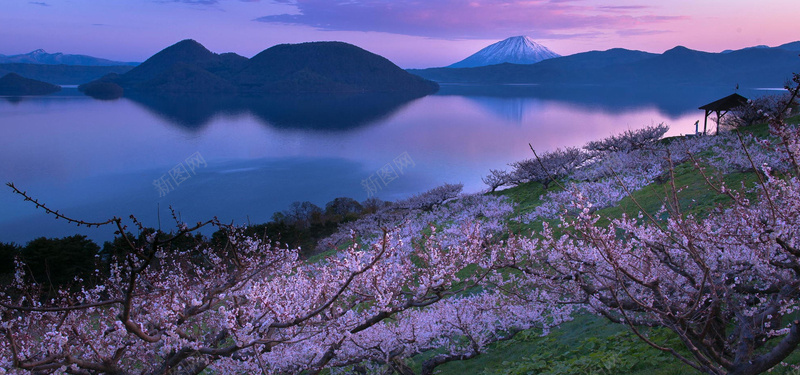 淘宝背景jpg设计背景_88icon https://88icon.com 傍晚 摄影 桃花 海报banner 湖水 风景 黄昏夜景