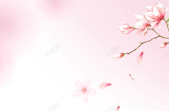 唯美粉色花朵海报背景模板背景