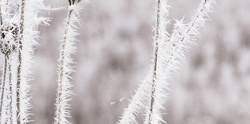 冬季大雪大草地H5背景素材jpg设计背景_88icon https://88icon.com 冬季 大雪 大草地 清新 风景 H5 摄影