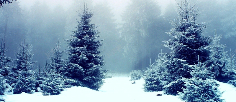 冬季雾凇淘宝背景图背景
