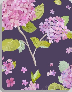 紫色鲜花绣球花手绘贺卡海报背景背景