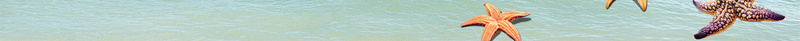 小清新夏令营活动宣传海报背景素材psd设计背景_88icon https://88icon.com 小清新 氢气球 夏日 暑假 海水 夏令营 活动 宣传 海报 背景 素材