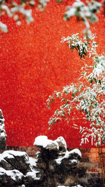 雪景红色简约H5背景背景
