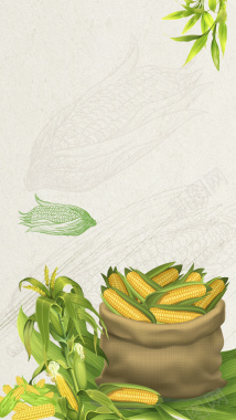 绿色纹理玉米丰收H5背景素材背景