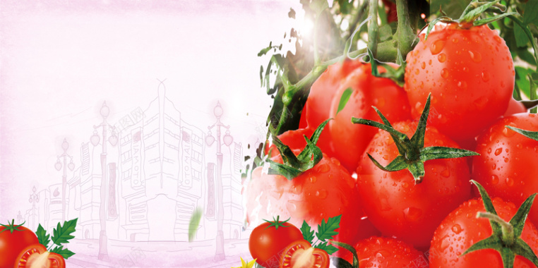 西红柿番茄蔬菜广告海报背景素材背景