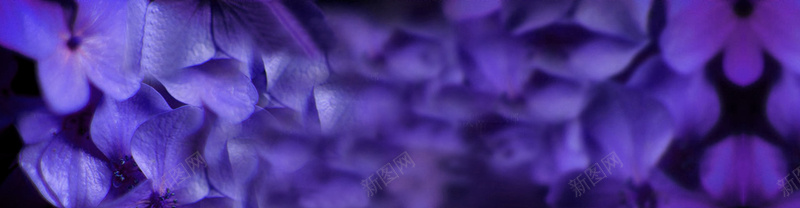 唯美紫色花朵背景背景