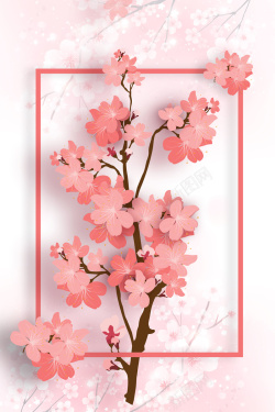赏花植物中国风粉色梅花展踏雪寻梅海报设计高清图片