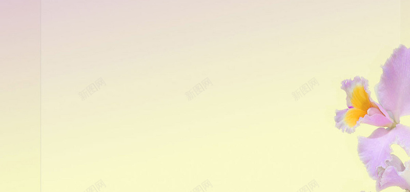 兰花粉紫色背景jpg设计背景_88icon https://88icon.com 海报banner 兰花背景 粉紫色 图片 纯色 浪漫 梦幻