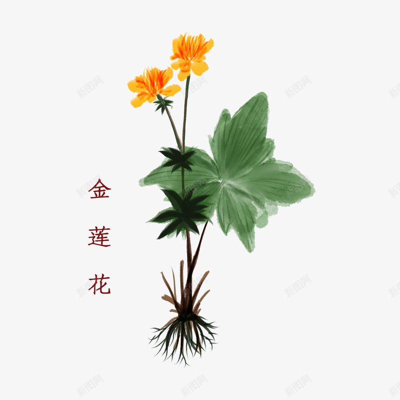 中医中药png免抠素材_88icon https://88icon.com 中医中药