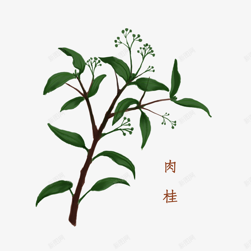 中医中药png免抠素材_88icon https://88icon.com 中医中药