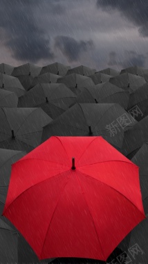 雨下的红色雨伞背景H5背景