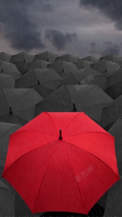 雨伞下的鸟儿们雨下的红色雨伞背景H5高清图片