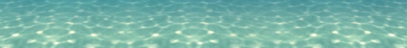 夏日海滨派对海报psd设计背景_88icon https://88icon.com 激情盛夏 海滨 海边 激情 聚会 礼物 夏日海滨派对海报 party 夏日激情 冰爽 温暖 浪漫 梦幻