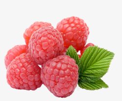 蔓越莓水果免抠高清PNG素材
