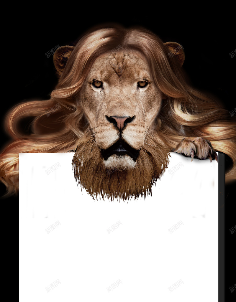 创意狮子美容美发宣传海报背景素材psd设计背景_88icon https://88icon.com 创意 宣传 狮子 美发 美容 美发店 海报 背景 素材