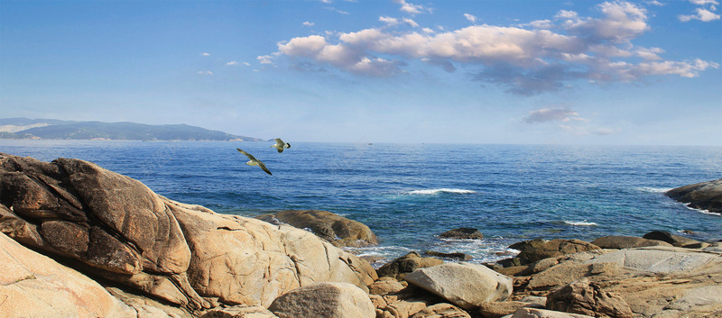 美容养生背景psd设计背景_88icon https://88icon.com 海报banner 保健品背景 化妆品背景 大海 石头 文艺 小清新 简约