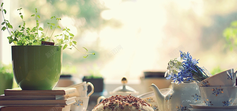 盆景植物背景jpg设计背景_88icon https://88icon.com 植物 盆景 背景 海报banner 摄影 风景