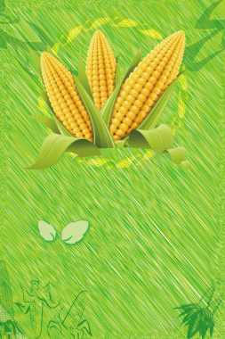 新鲜玉米海报背景背景
